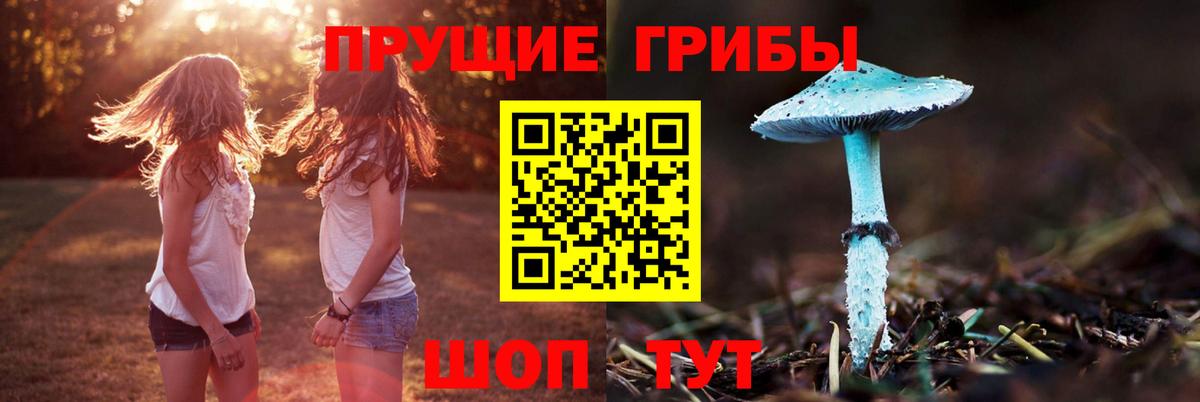 Коммунар  Галлюциногенные грибы Cubensis  Вход с VPN 